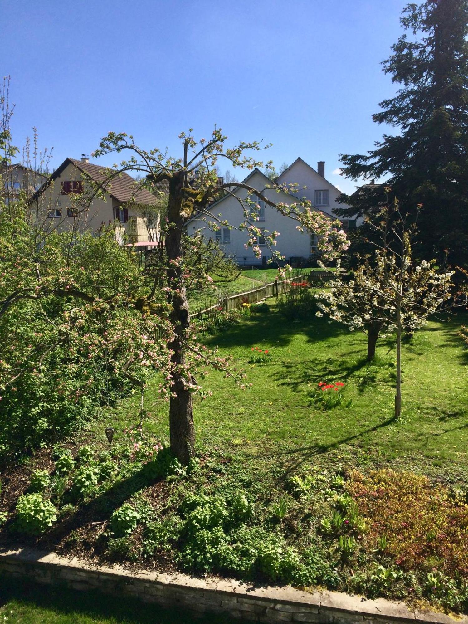 Guntli'S Family Guesthouse Andelfingen Eksteriør billede