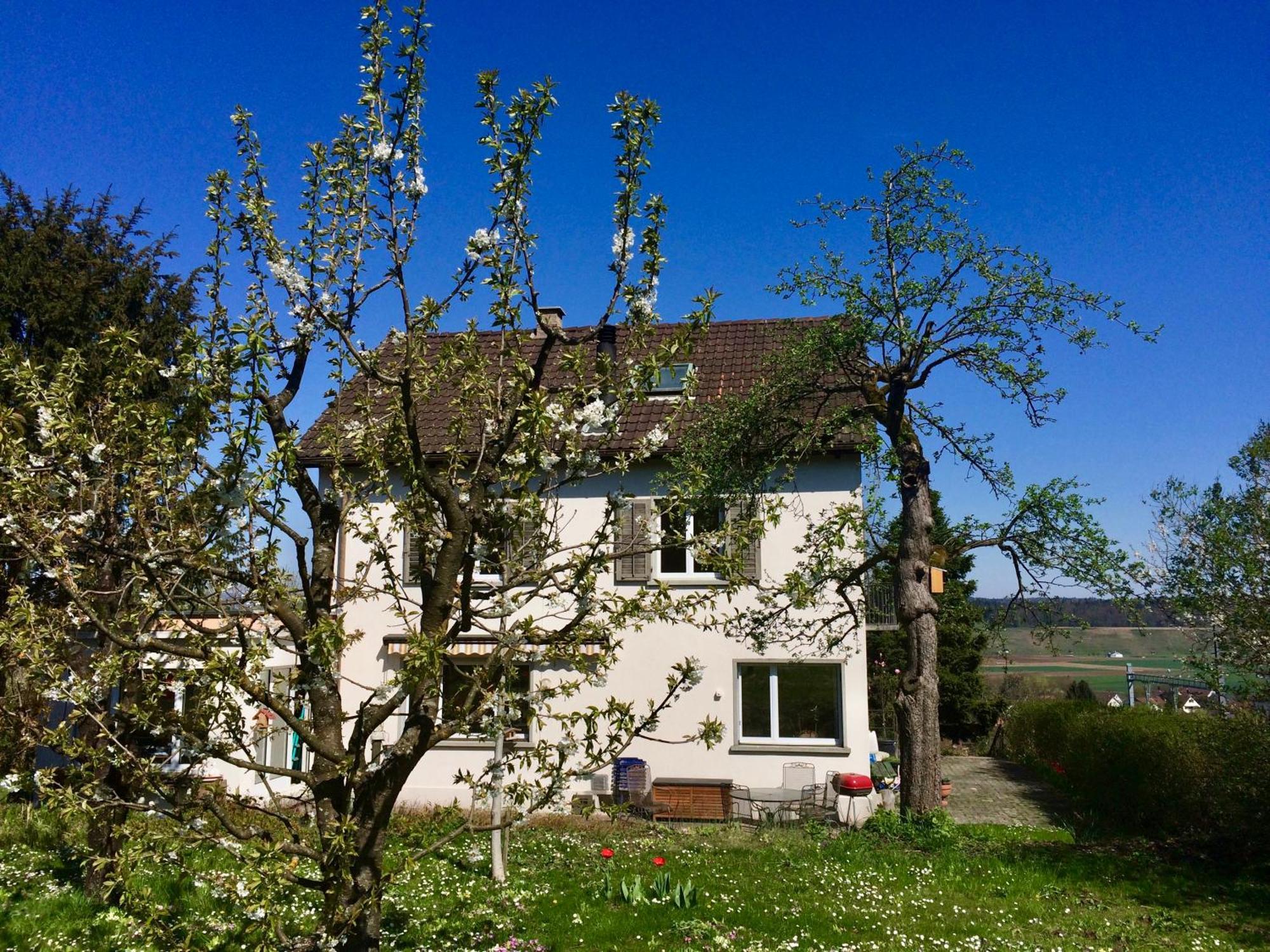 Guntli'S Family Guesthouse Andelfingen Eksteriør billede